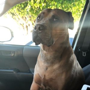 Meet your Posher, Ka